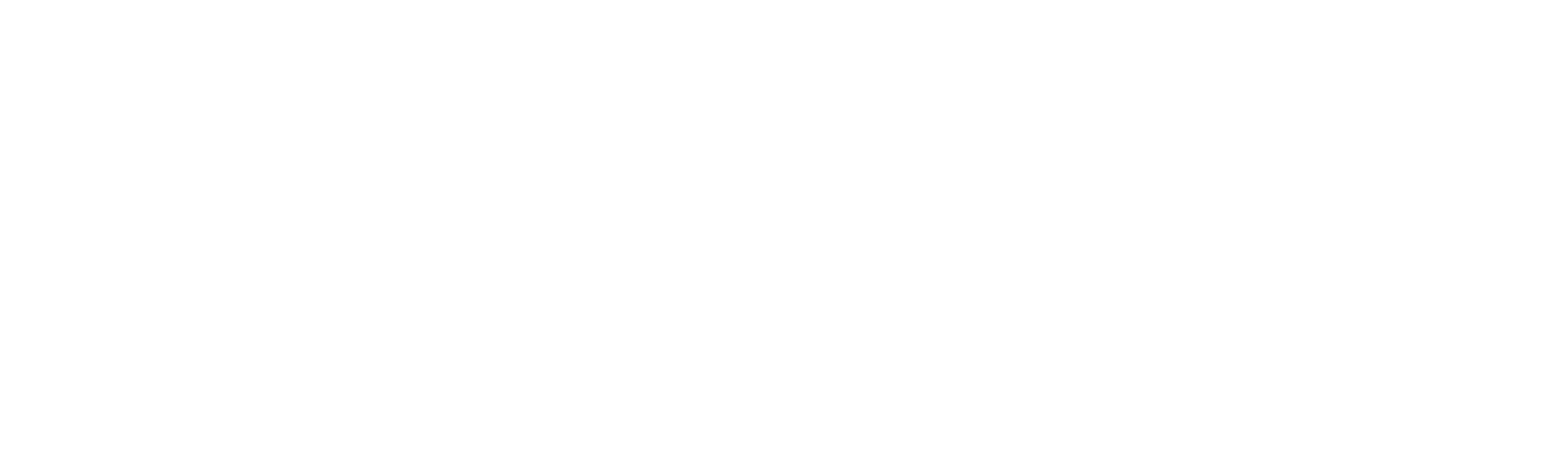 Scribble Logo